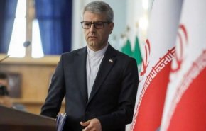 بقائی قهرمانی تیم ملی کشتی فرنگی را تبریک گفت