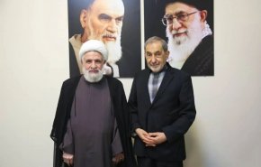 پیام دبیرکل حزب الله لبنان به ولایتی/ ایران همواره یاری‌گر فلسطین و مستضعفان جهان بوده است