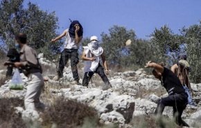 مستوطنون يشنون اعتداءات على ممتلكات فلسطينية في الضفة الغربية