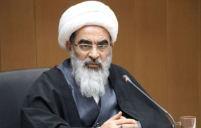 آية الله اللنكراني يرد على بيان الأزهر