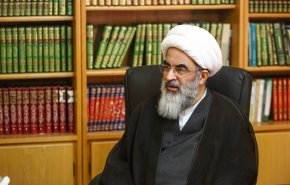 آية الله فاضل لنكراني يرد على بيان الأزهر