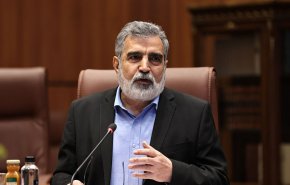 المتحدث باسم منظمة الطاقة النووية: الهجوم على المنشآت النووية جريمة حرب