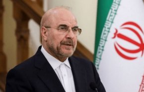 واکنش قالیباف به ادعای ترامپ درمورد نجات خلبان هواپیمای آمریکایی ساقط شده