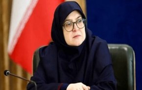 مهاجرانی: تداوم حملات به مراکز علمی نشان‌دهنده دشمنی با پیشرفت ایران است