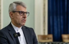 بقائی: تهدیدهای هتاکانه ترامپ نشان‌دهنده ذهنیت مجرمانه اوست/ حمله به زیرساخت مشابه متعلق به آمریکا، در صورت حمله به زیرساخت های ایران