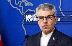 بقائی: برای صیانت از حقوق و منافع ایران از همه ظرفیت‌ها استفاده می‌کنیم