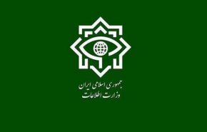 پیام سرپرست وزارت اطلاعات به مناسبت روز ارتش
