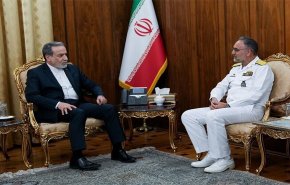 وزير الخارجية: قوة واقتدار مقاتلينا سند قوي لحماية المصالح الوطنية