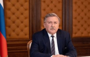 اولیانوف: روس‌اتم مصمم است طرح بوشهر با قدرت ادامه یابد
