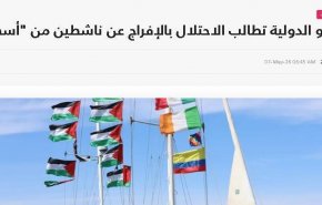 عفو بین‌الملل خواستار آزادی فعالان «ناوگان صمود» شد