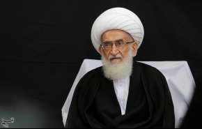 آیت‌الله نوری همدانی: مسلمانان از مردم لبنان و حزب‌الله حمایت کنند