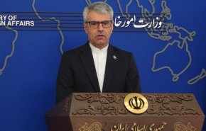 بقائی: مدیرکل آژانس انرژی اتمی دست از سیاسی کاری بردارد