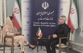 ایران در حوزه نظامی توان غافلگیری‌ زیادی دارد/ روابط تهران با سایر کشورها علیه هند نیست