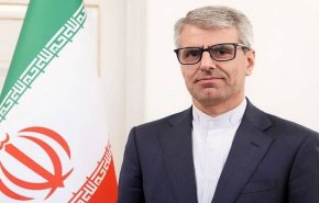 بقا‌ئی: ملت ایران با بصیرت سیاسی خود نقشه‌های دشمنان را خنثی کرد
