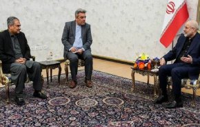 رئیس مجلس شورای اسلامی در دیدار با وزیر کشور پاکستان: حضور آمریکا در منطقه زمینه‌ساز ناامنی است