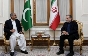 وزیر کشور پاکستان با عراقچی دیدار کرد