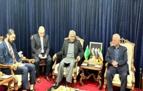 وزیر کشور پاکستان در تهران با همتای ایرانی خود دیدار کرد