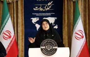 مهاجرانی: دولت مکلف به توزیع کالابرگ است
