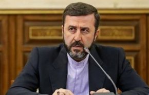 واکنش غریب‌آبادی به اقدام رژیم صهیونیستی در حمله به نهادهای بین المللی