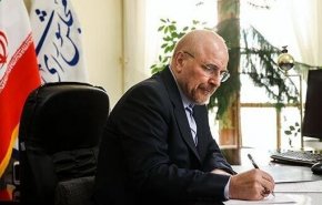 رئیس مجلس: قهرمانی تیم ملی والیبال بانوان، نویدبخش آینده‌ روشن ورزش بانوان است