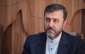 توضیحات غریب آبادی درباره تفاهمات مذاکرات فنی سوئیس