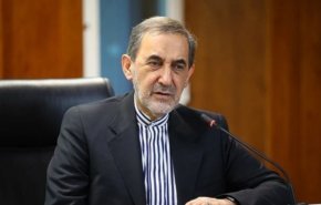 ولایتی: حزب الله حافظ حقیقی استقلال لبنان است
