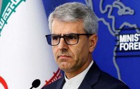 بقائی: مقامات 100 کشور برای منظور شرکت در آیین وداع با رهبر شهید، میهمان ایران هستند