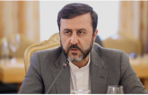 غریب آبادی: ترامپ زبان زور را بهتر می‌فهمد
