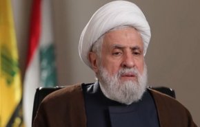 شیخ نعیم قاسم: حزب‌الله از عملیات طوفان الاقصی حمایت کرد