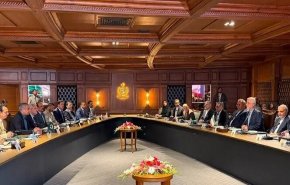 وزير داخلية باكستان: نعمل إلى جانب إيران لإحلال السلام في المنطقة