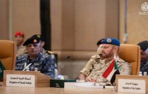 سجال سعودي إماراتي على خلفية تحالف السعودية 'البحري'