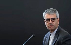 بقایی : ترمیم زیست‌بوم دریایی تنگه هرمزباید بخشی از ترتیبات مدیریت آتی آن باشد
