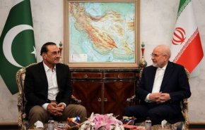 دیدار عاصم منیر با رئیس مجلس: پیگیر شروط یادداشت تفاهم هستیم
