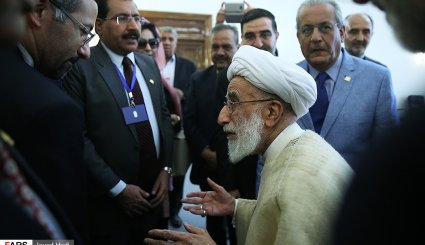 دیدار رئیس مجلس سنای پاکستان با رئیس مجلس خبرگان رهبری
