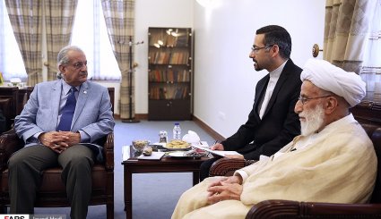 دیدار رئیس مجلس سنای پاکستان با رئیس مجلس خبرگان رهبری
