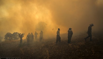 آتش سوزی در جنگلهای بلوط روستای کرآباد شهرستان سروآباد