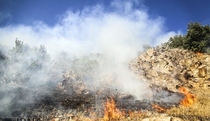آتش سوزی در جنگلهای بلوط روستای کرآباد شهرستان سروآباد