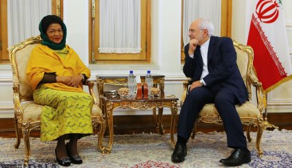 دیدار رئیس مجلس آفریقای جنوبی با ظریف

