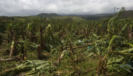 خسارات طوفان «ماریا» در جزیره فرانسوی گوادلوپ + تصاویر