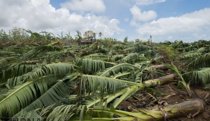 خسارات طوفان «ماریا» در جزیره فرانسوی گوادلوپ + تصاویر