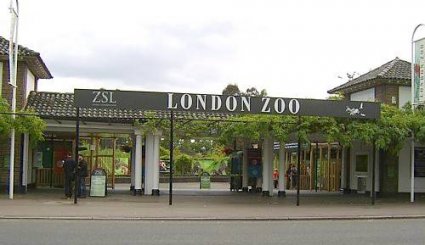 حديقة الحيوانات في لندن