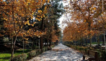 بالصور، الخريف في العاصمة طهران