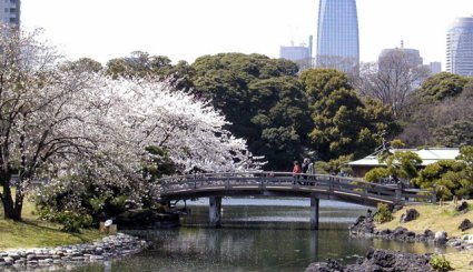 حديقة أوينو في طوكيو 