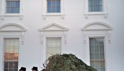 استقبال ملانیا ترامپ از درخت کریسمس کاخ سفید