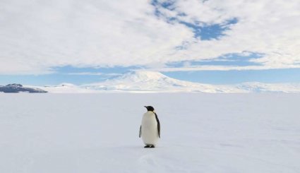 سفری به قطب جنوب در گرم‌ترین روزهای سال