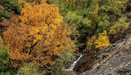 طبیعت پاییزی جنگلهای ارسباران- آذربایجان شرقی