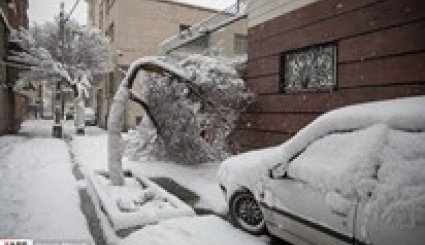 الثلوج تتسبب في اغلاق الطرق والمطارات في طهران والعدید من المدن