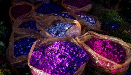 سوق الزهور على اعتاب عيد النوروز