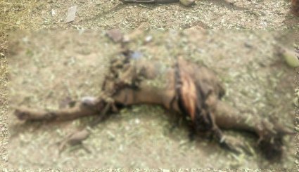 جنایت جدید آل سعود در یمن/ شهادت 6 غیرنظامی + تصاویر 