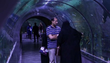 منطقة أنزلي الحرة تحتضن أکبر حوض بحري في إيران